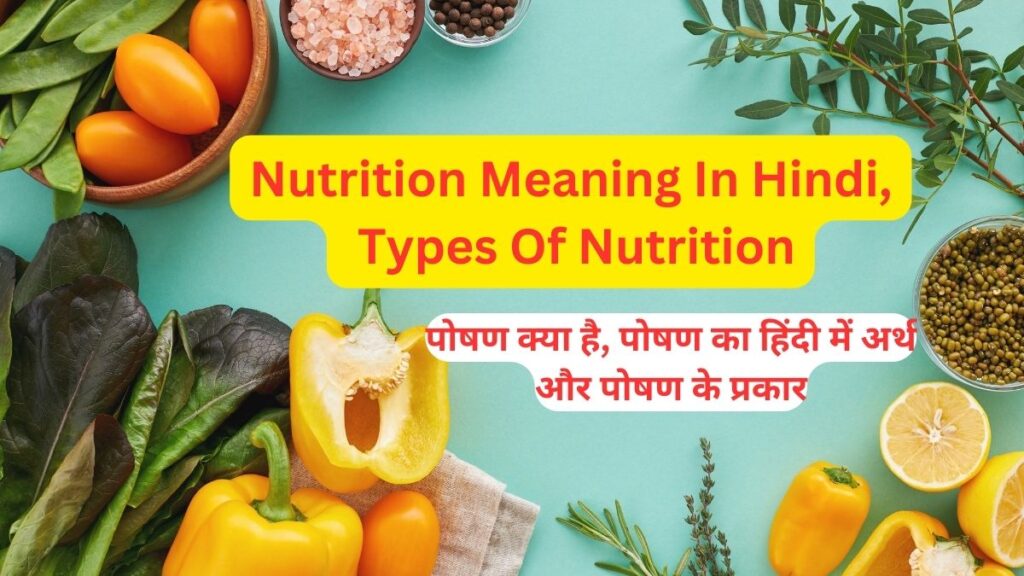 nutrition-meaning-in-hindi-and-types-of-nutrition